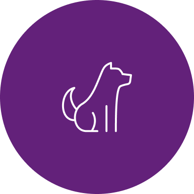Cães