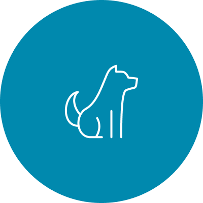 Cães