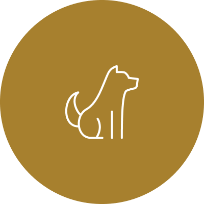 Cães