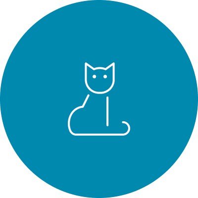 Gatos