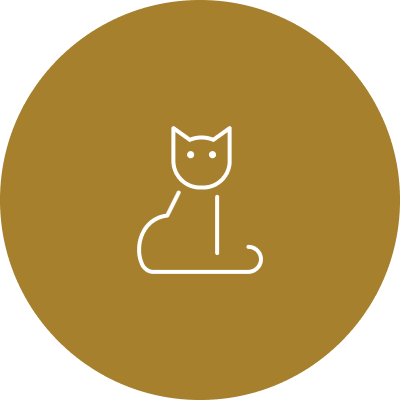 Gatos