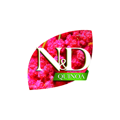 Quinoa