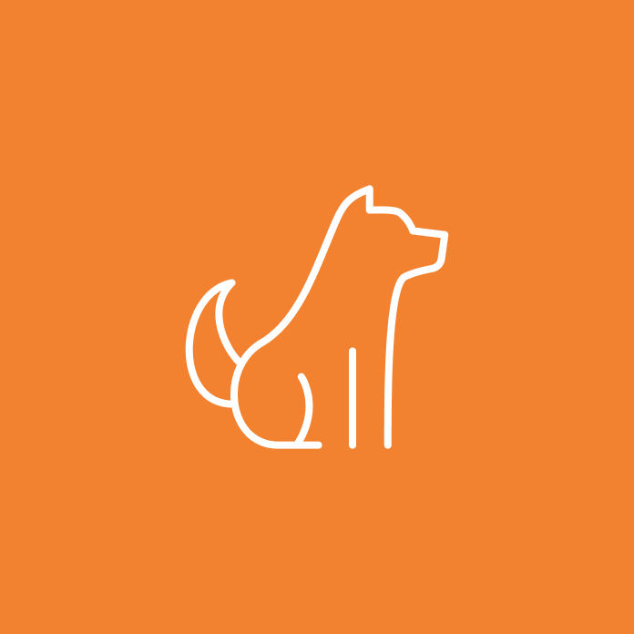 Cachorros