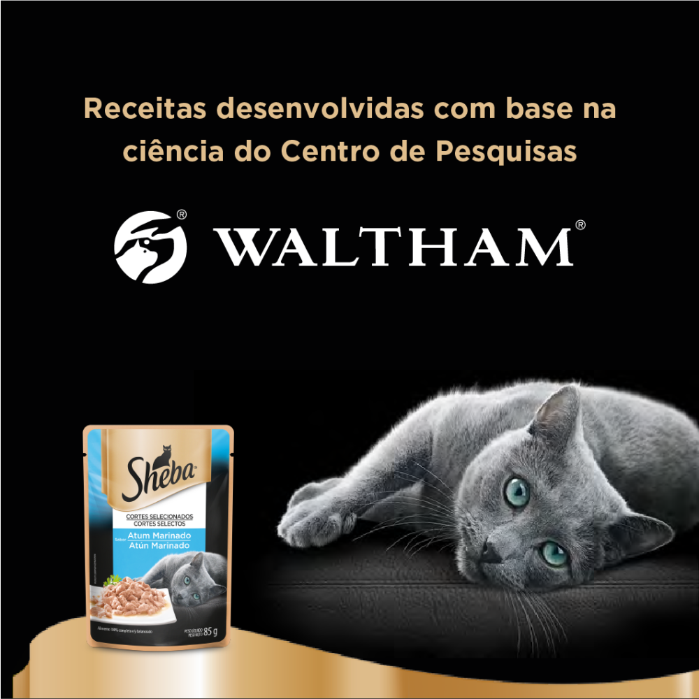 Ração Úmida Sheba Sachê para Gatos Adultos Sabor Atum Marinado 85g