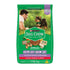 Ração DOG CHOW Cães Filhotes Minis e Pequenos Carne, Frango e Arroz 10,1kg