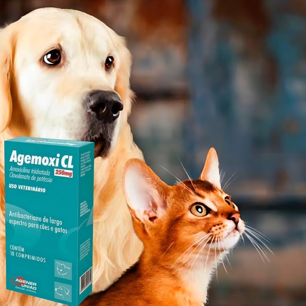 Antibiótico Agener União Agemoxi Cl 250Mg com 10 Comprimidos