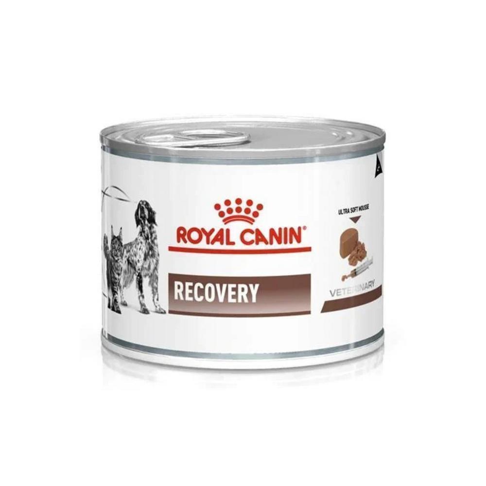 Alimento Úmido Royal Canin Recovery Wet Dog/Cat 195G