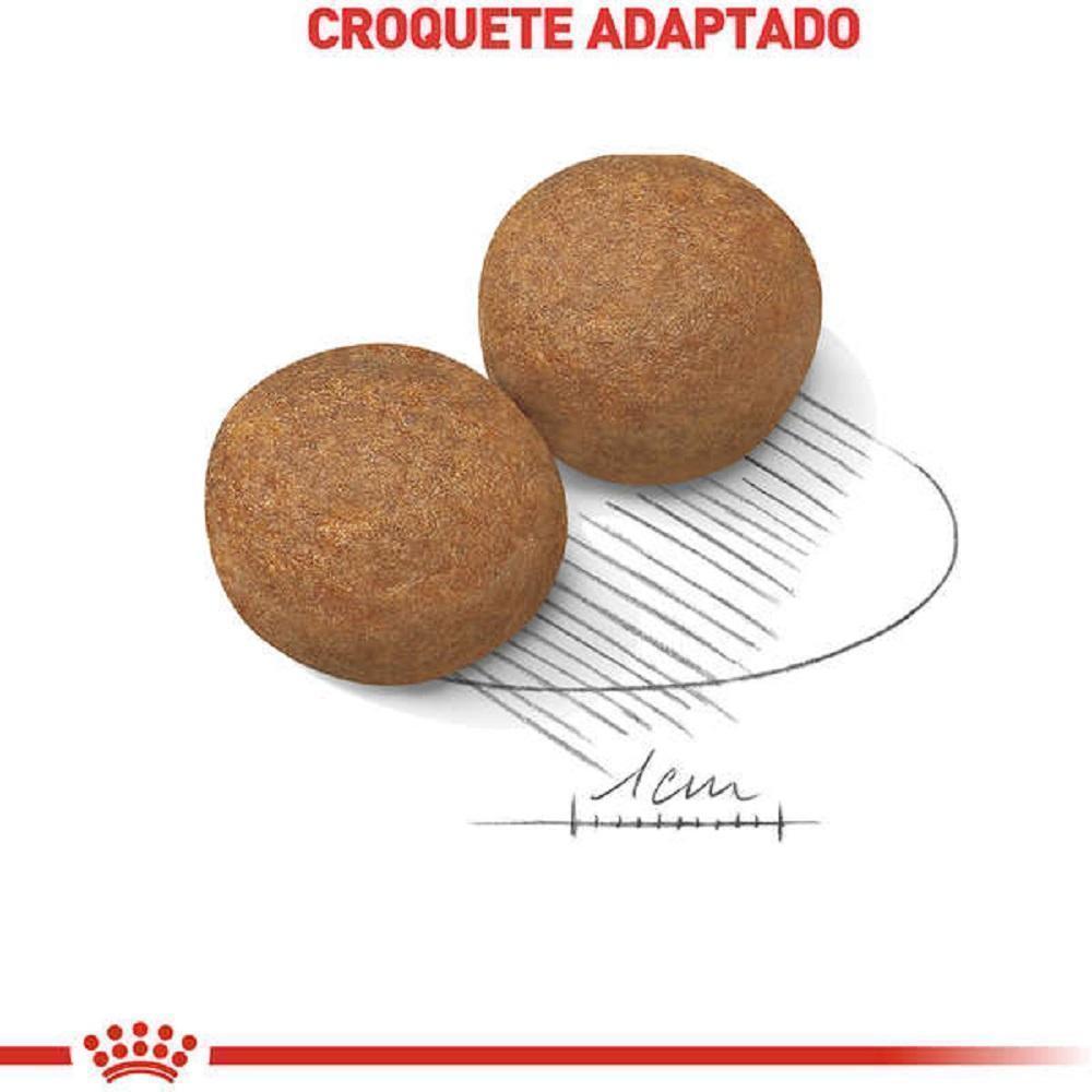Ração Seca Royal Canin Maxi Adult para Cães Adultos de Porte Grande - 15 KG