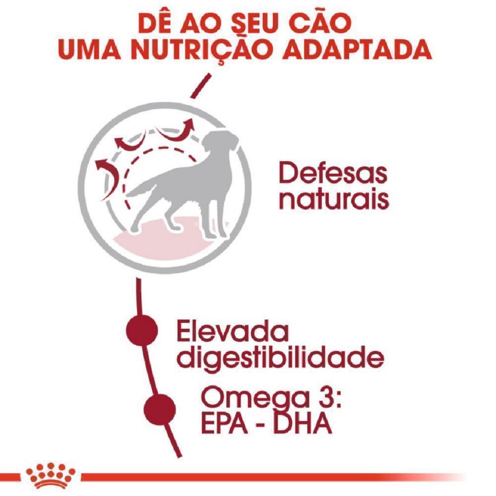 Ração Seca Royal Canin Medium Adult para Cães Adultos de Porte Médio - 15 Kg