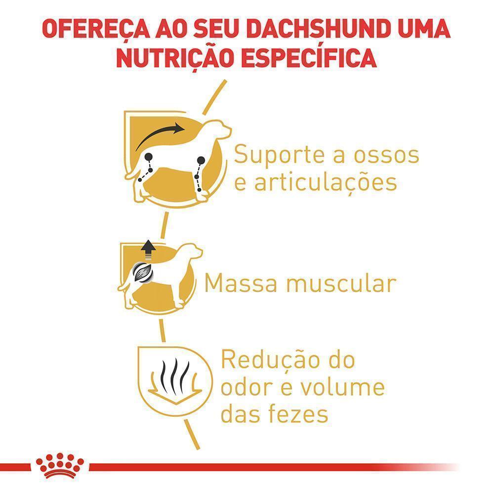 Ração Seca Royal Canin para Cães Adultos da Raça Dachshund - 1 Kg