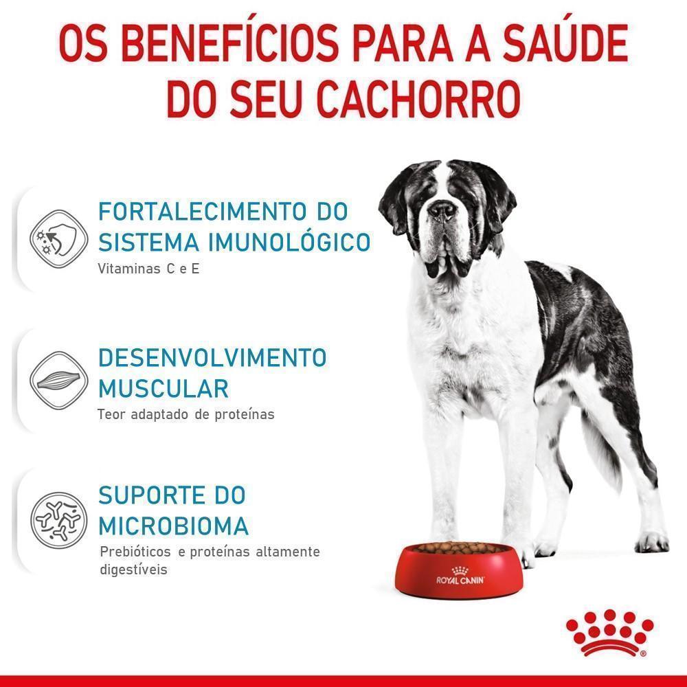 Ração Royal Canin Giant Junior para Cães Filhotes de Porte Gigante de 8 a 18/24 Meses de Idade 15kg