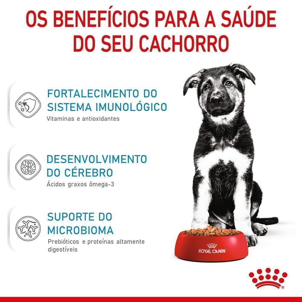 Ração Seca Royal Canin Maxi Puppy para Cães Filhotes de Porte Grande - 15 Kg