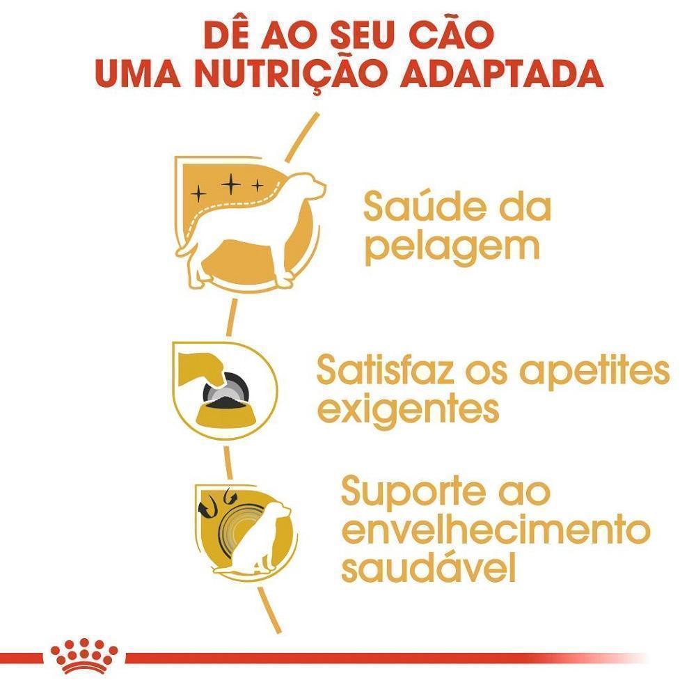 Ração Seca Royal Canin para Cães Adultos da Raça Yorkshire - 7,5 Kg