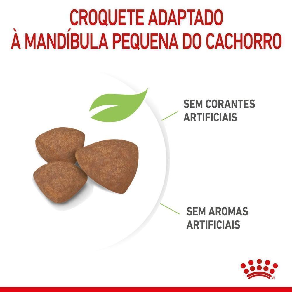 Ração Seca Royal Canin Mini Puppy para Cães Filhotes de Porte Pequeno - 1 Kg