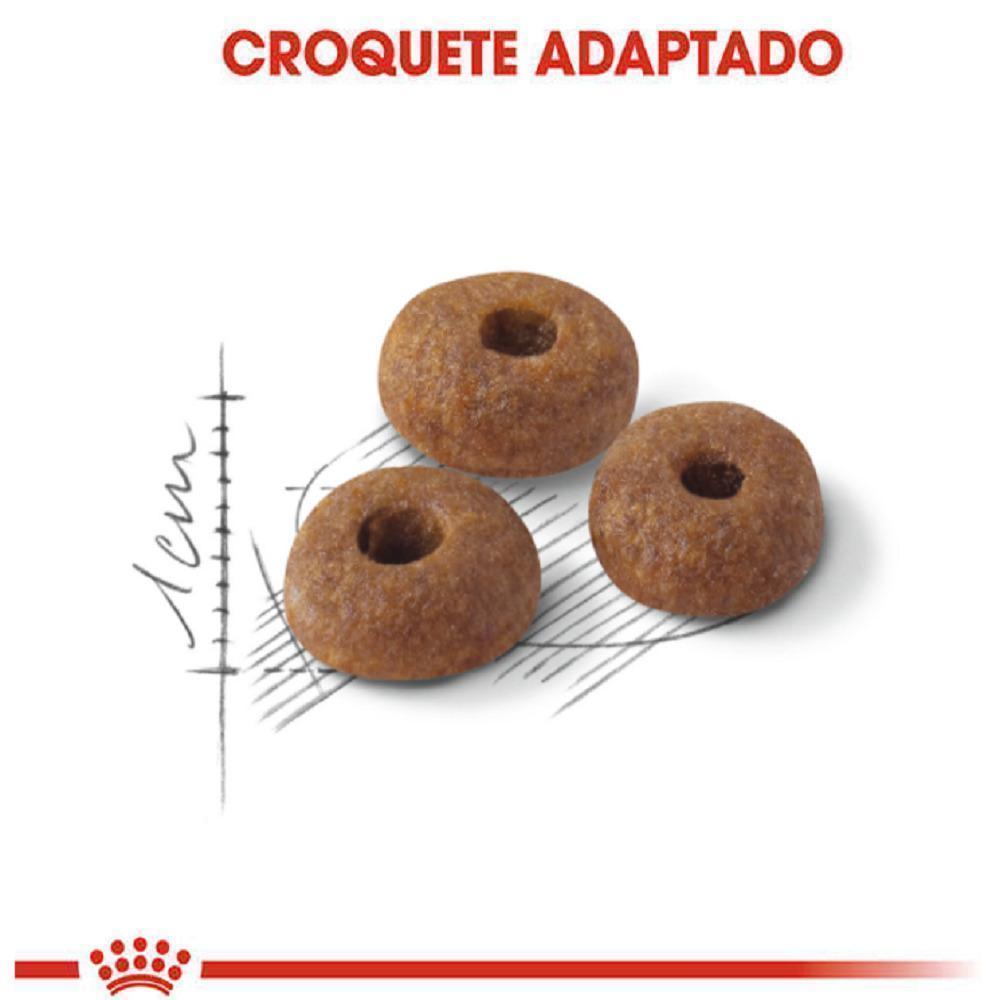 Ração Seca Royal Canin Fit para Gatos adultos - 1,5 Kg