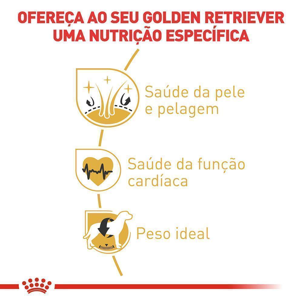 Ração Royal Canin para Cães Adultos da Raça Golden Retriever 12 kg