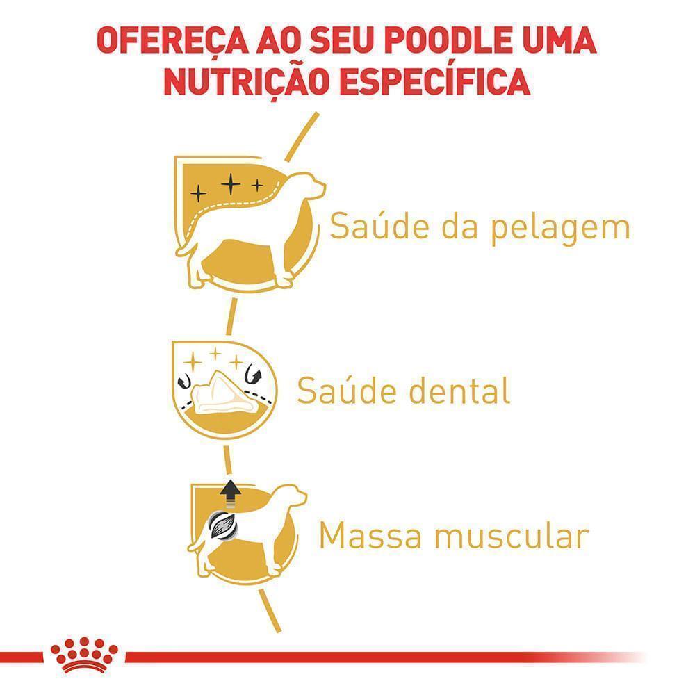 Ração Seca Royal Canin para Cães Adultos da Raça Poodle - 7,5 Kg