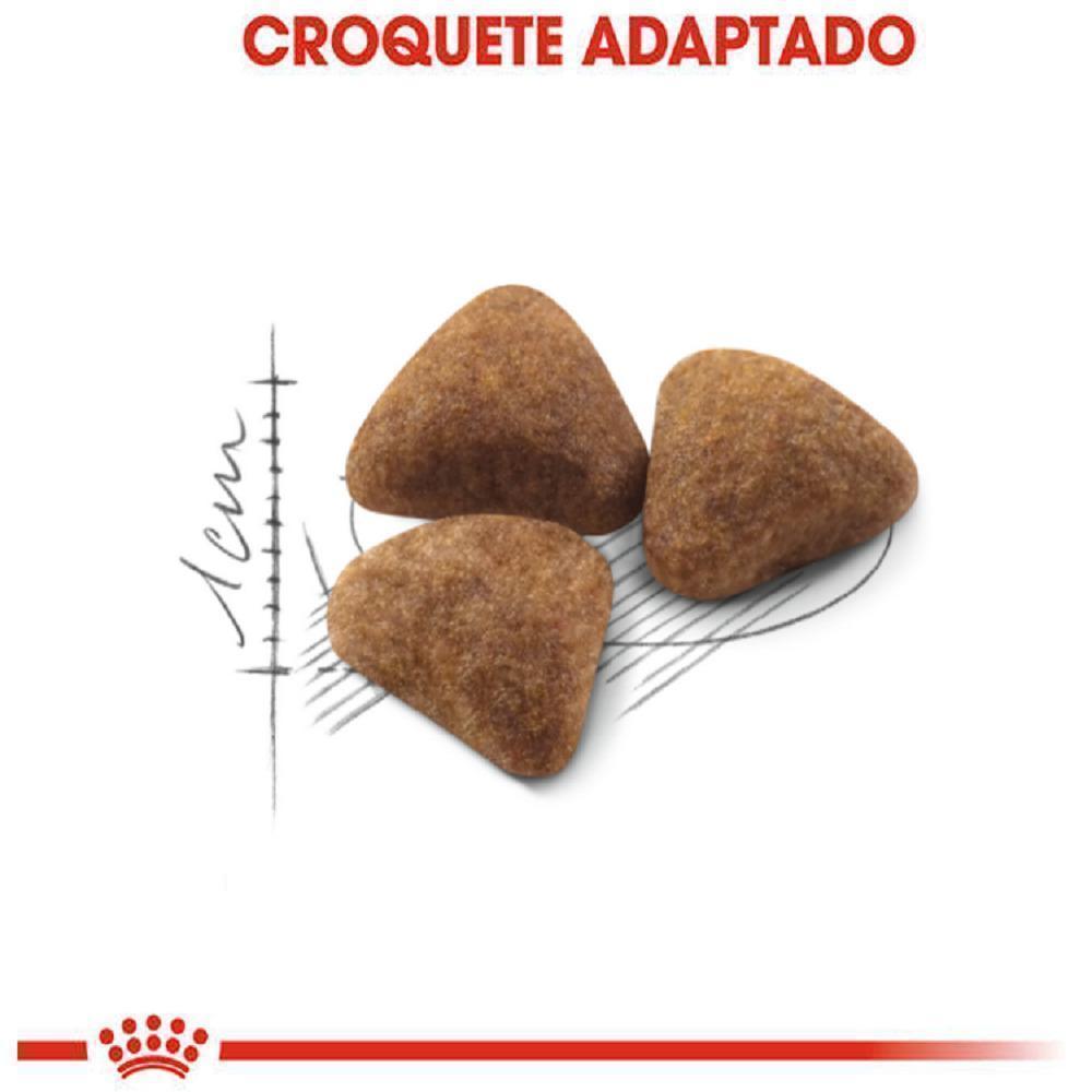 Ração Seca Royal Canin Indoor para Gatos Adultos - 400 g