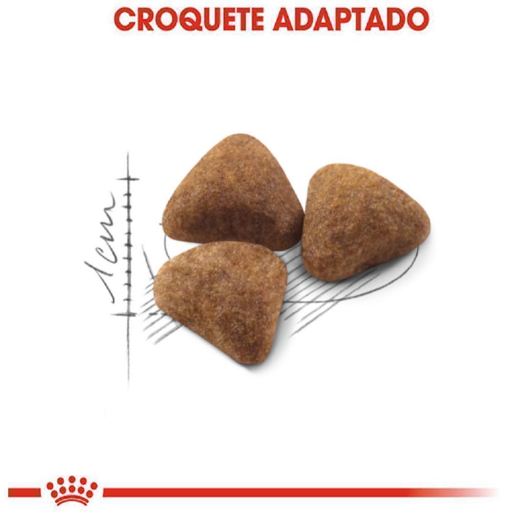 Ração Seca Royal Canin Indoor para Gatos Adultos - 1,5 Kg