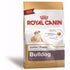 Royal Canin Bulldog Inglês para Cães Filhotes