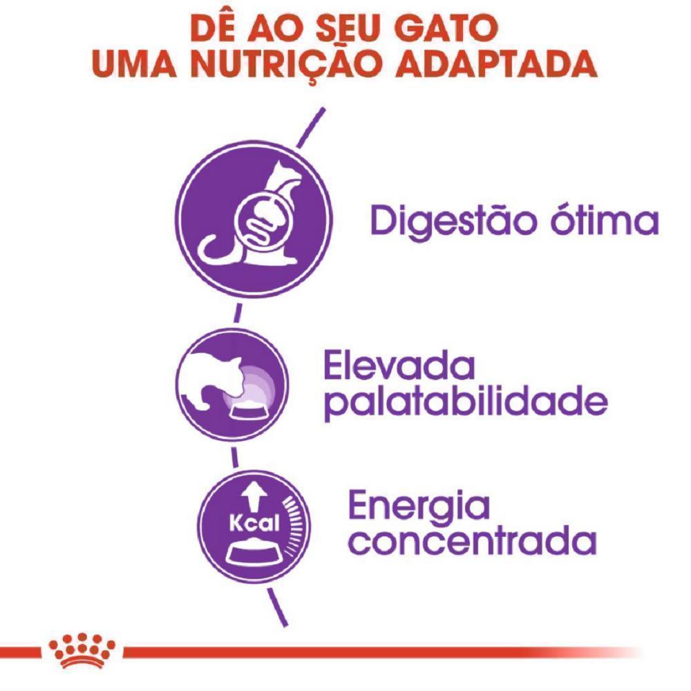 Ração Seca Royal Canin Sensible para Gatos Adultos - 400 g