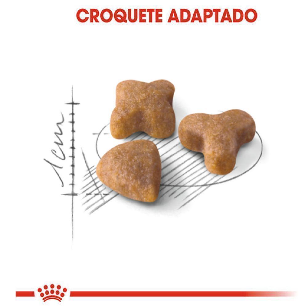 Ração Seca Royal Canin Sensible para Gatos Adultos - 1,5 Kg