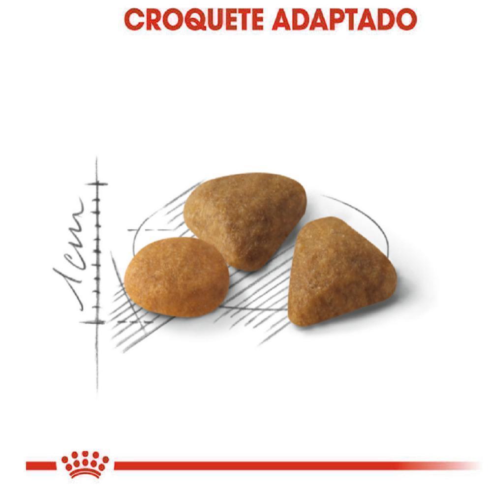 Ração Seca Royal Canin Exigent para Gatos Adultos com Paladar Exigente - 400 g