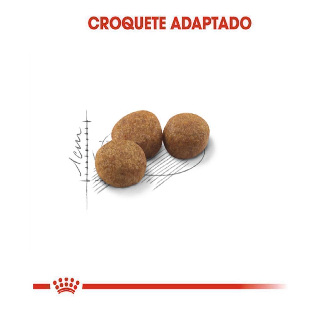 Ração Seca Royal Canin para Gatos Adultos Castrados - 1,5 Kg