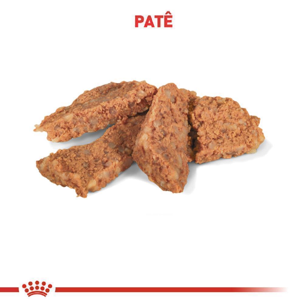 Ração Úmida Royal Canin Veterinary Diet Gastrointestinal para Cães Adultos com Sensibilidades Gastrointestinais - 400 g