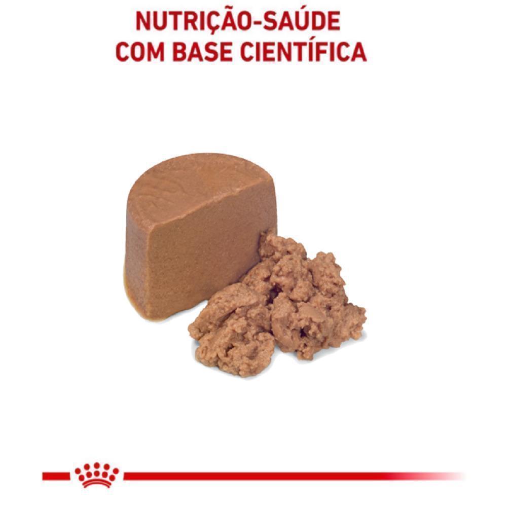 Ração Úmida Royal Canin Lata Veterinary Diet Recovery para Cães e Gatos em Recuperação - 195 g