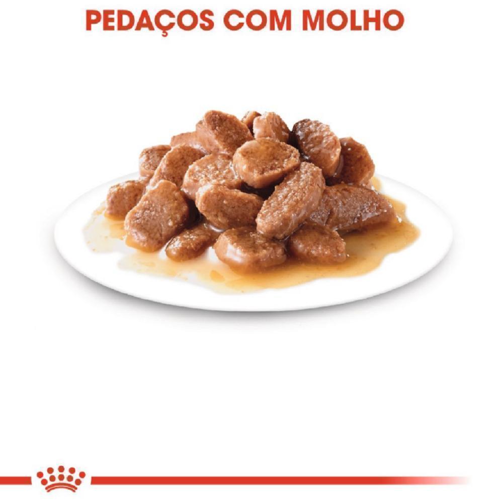 Ração Úmida Royal Canin Sachê Instinctive para Gatos Adultos Acima de 12 meses - 85 g