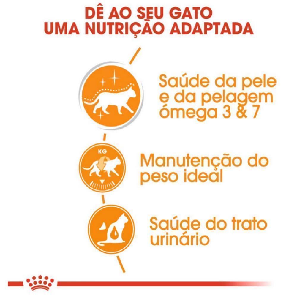 Ração Úmida Royal Canin Intense Beauty para Gatos Adultos Sachê 85G