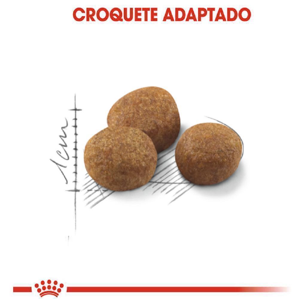 Ração Seca Royal Canin para Gatos Adultos Castrados Acima de 7 anos - 400 g