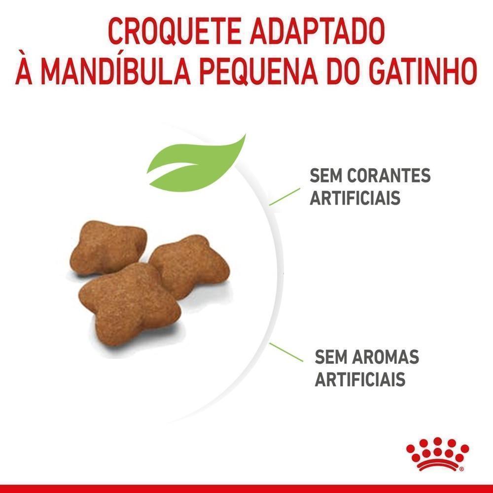 Ração Seca Royal Canin para Gatos Filhotes Castrados de 6 a 12 meses - 1,5 Kg