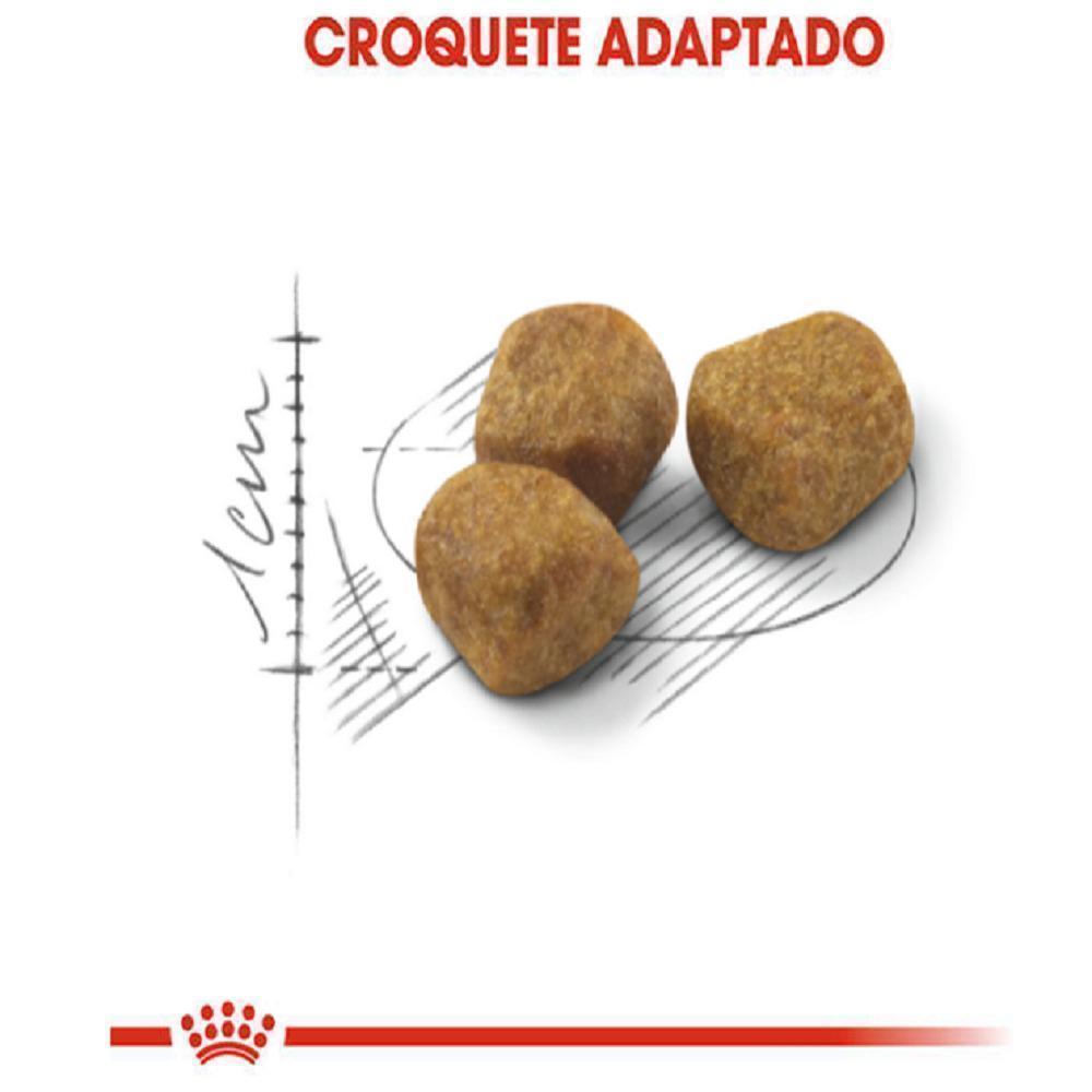 Ração Seca Royal Canin Indoor 7 + para Gatos Adultos Acima de 7 anos- 1,5 Kg