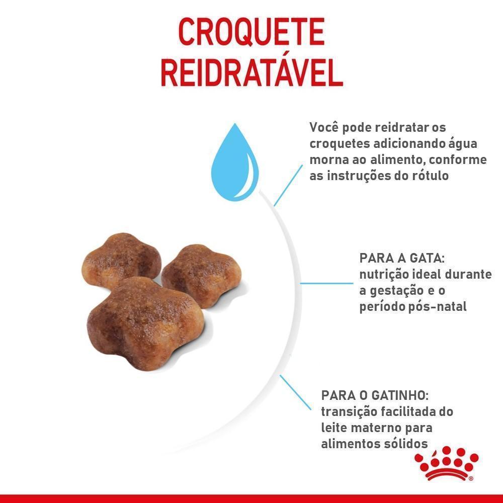 Ração Seca Royal Canin Mother & Babycat para Gatas gestantes/lactantes e Gatos Filhotes de 1 a 4 Meses de Idade - 400 g