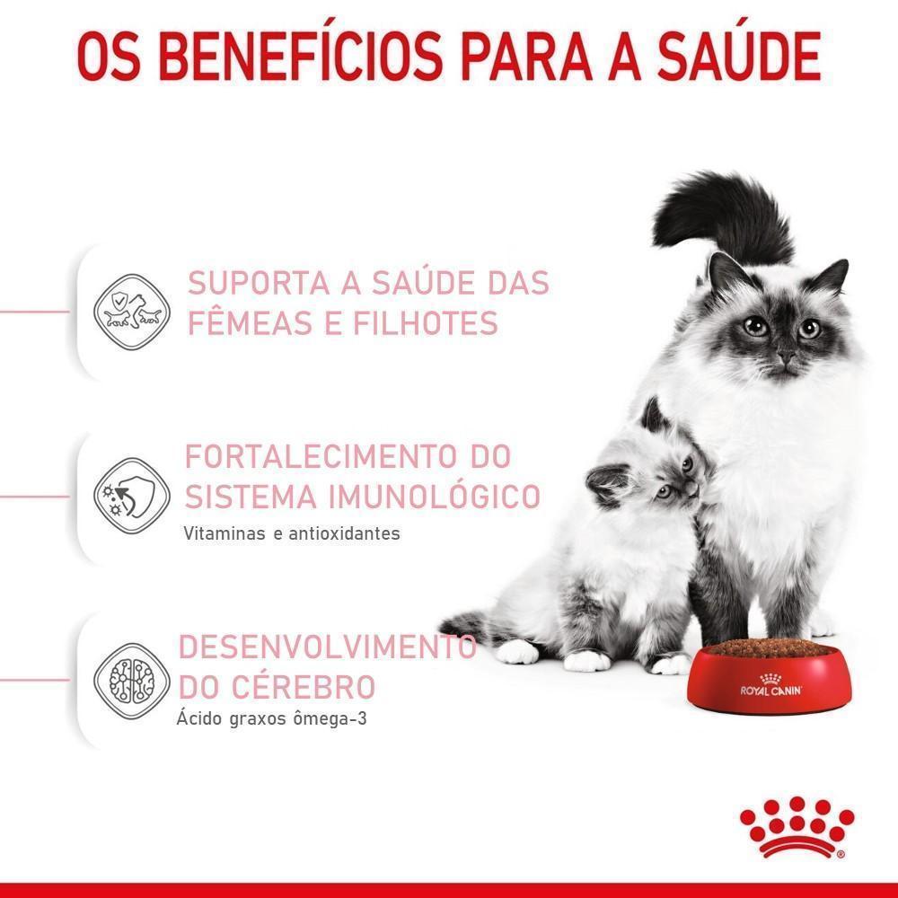 Ração Seca Royal Canin Mother & Babycat para Gatas gestantes/lactantes e Gatos Filhotes de 1 a 4 Meses de Idade - 1,5 Kg