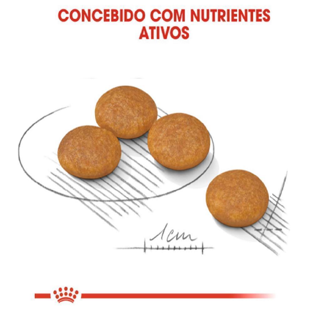 Ração Seca Royal Canin Mini Dermacomfort para Cães Adultos ou Idosos de Porte Pequeno - 1 Kg