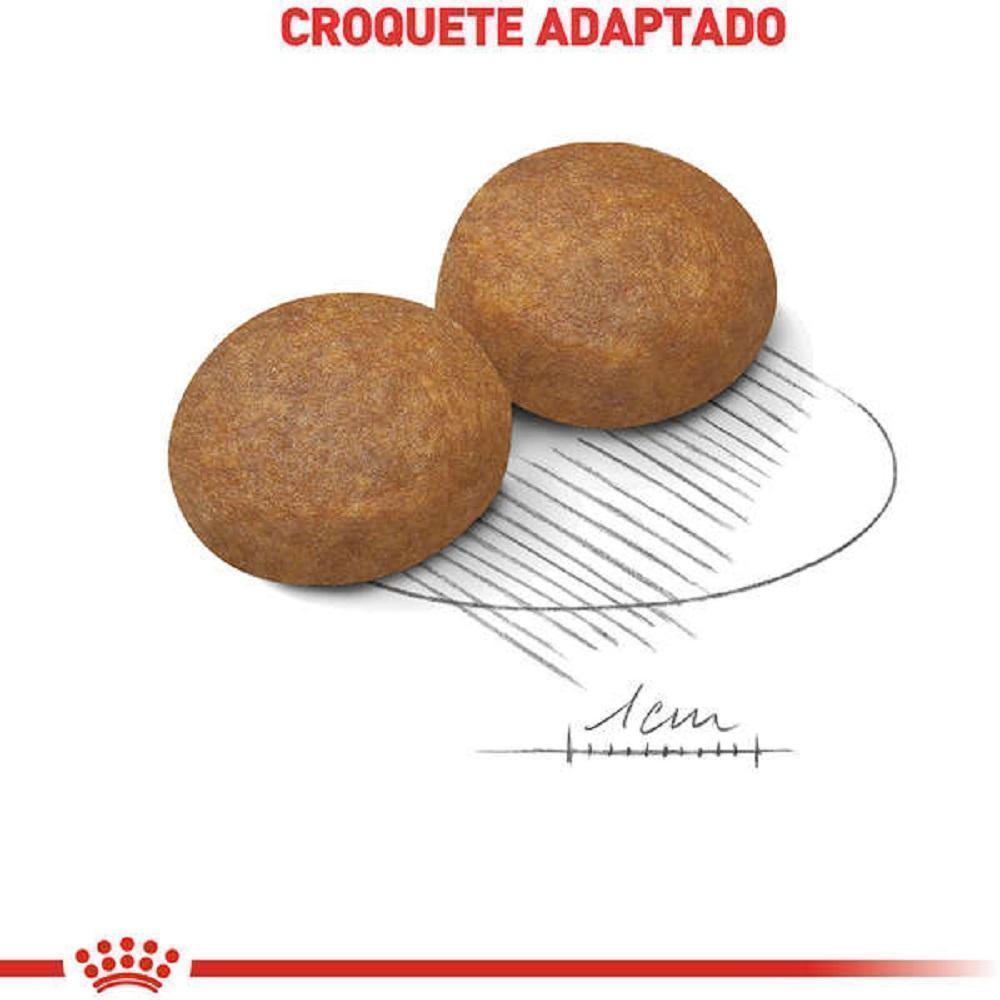 Ração Royal Canin Maxi Adult 5+ para Cães Adultos de Porte Grande com 5 Anos ou mais 15kg