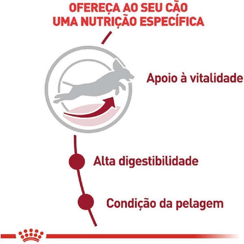 Ração Royal Canin Medium Adult 7+ para Cães Adultos de Porte Médio com 7 Anos ou mais 15kg