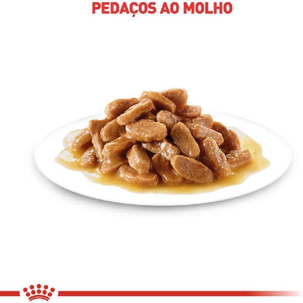 Ração Úmida Royal Canin Sachê para Gatos Adultos Castrados - 85 g