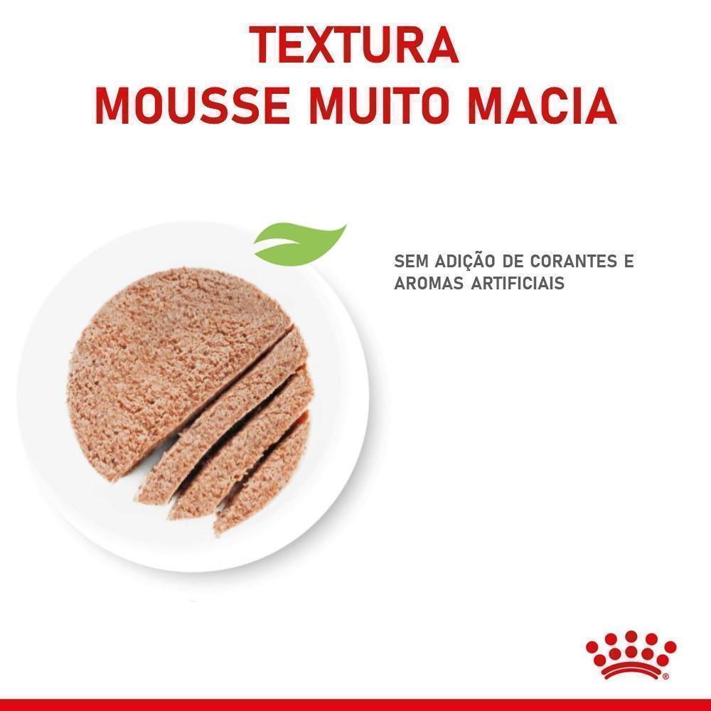 Ração Úmida Royal Canin Lata Mother & Babycat Instinctive para Gatas gestantes/lactantes e Gatos Filhotes - 195 g