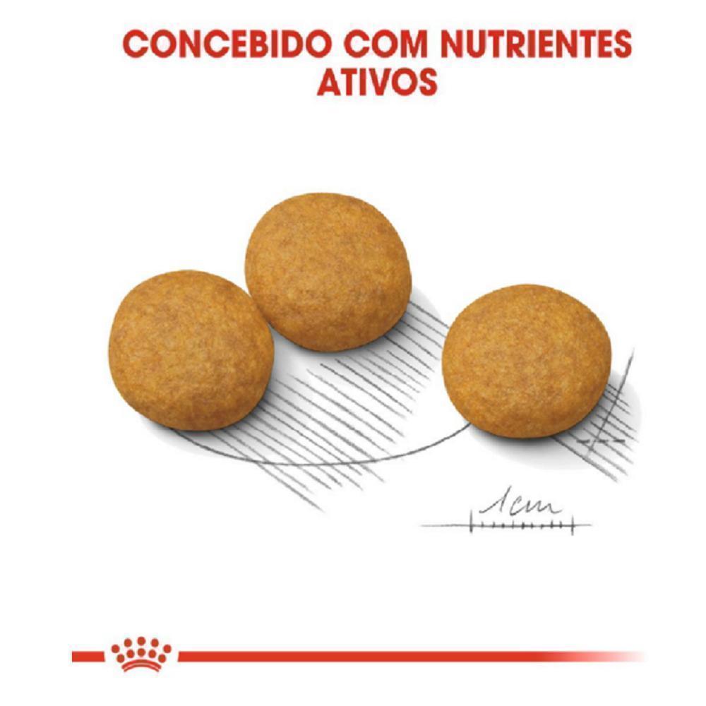 Ração Seca Royal Canin Medium Dermacomfort para Cães de Porte Médio Adultos e Idosos - 10,1 Kg