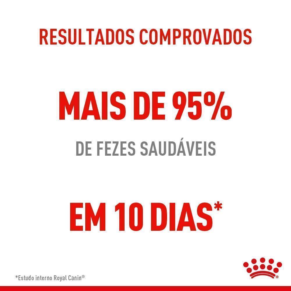 Ração Seca Royal Canin Cuidado Digestivo para Gatos Adultos - 1,5 Kg