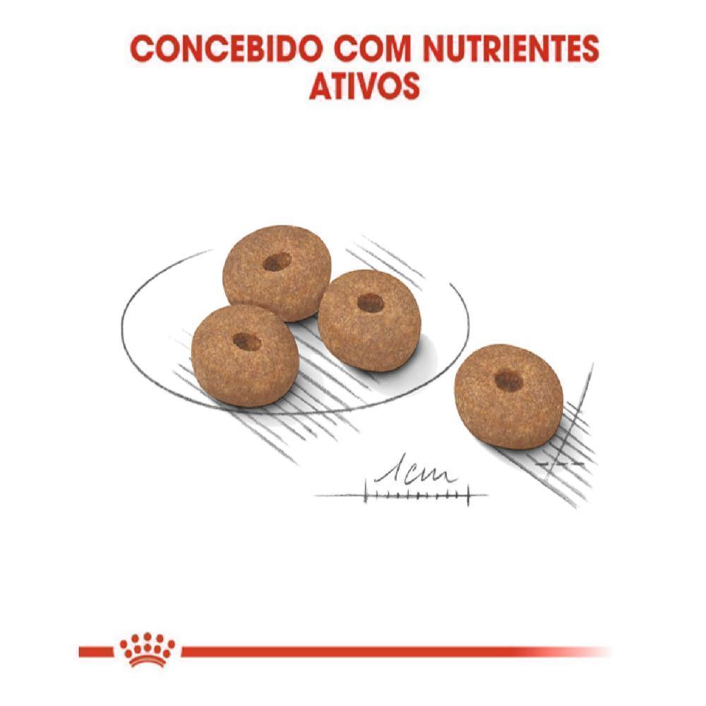 Ração Seca Royal Canin Mini Light Cães Adultos de Porte Pequeno com Tendência a Obesidade - 2,5 Kg