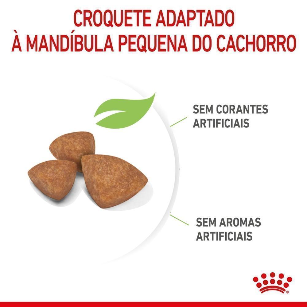 Ração Seca Royal Canin X-Small para Cães Filhotes de Porte Mini - 2,5 Kg