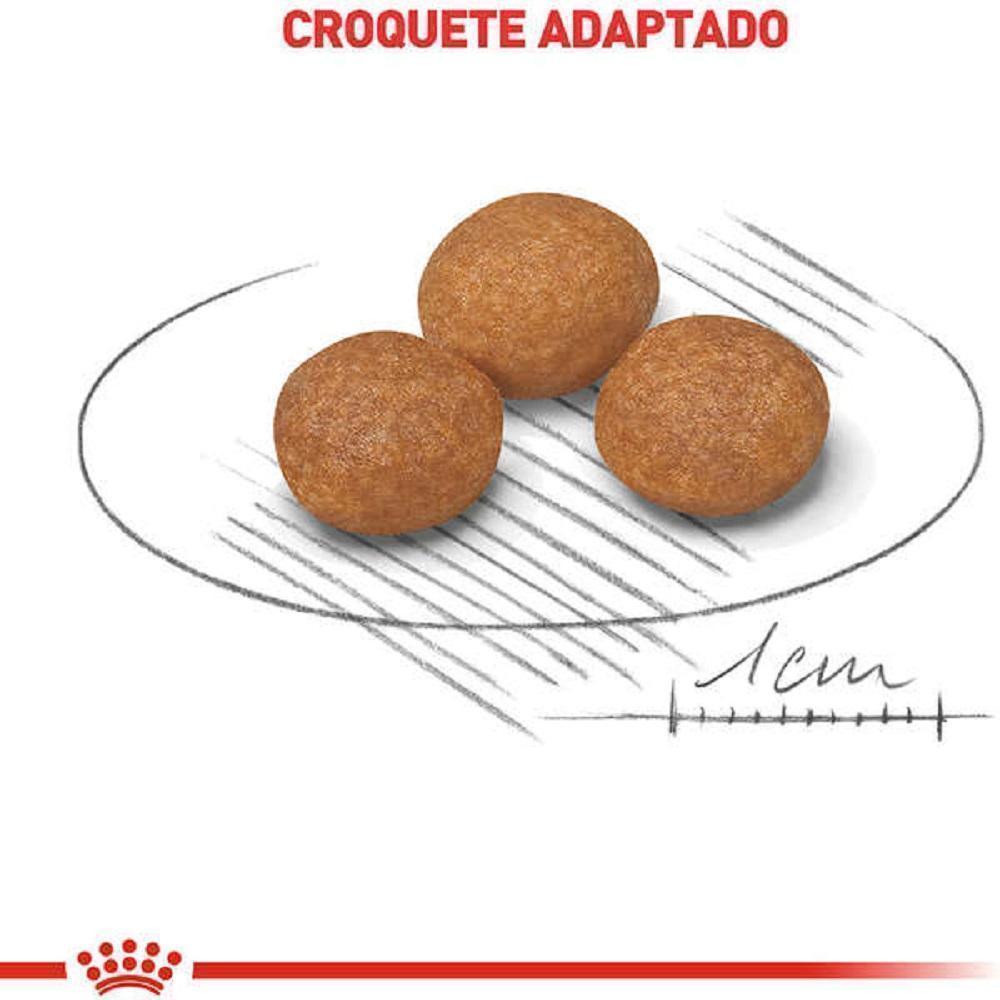 Ração Seca Royal Canin X-Small Adult 8+ para Cães Adultos e Idosos de Porte Miniatura com 8 Anos ou mais - 2,5 Kg