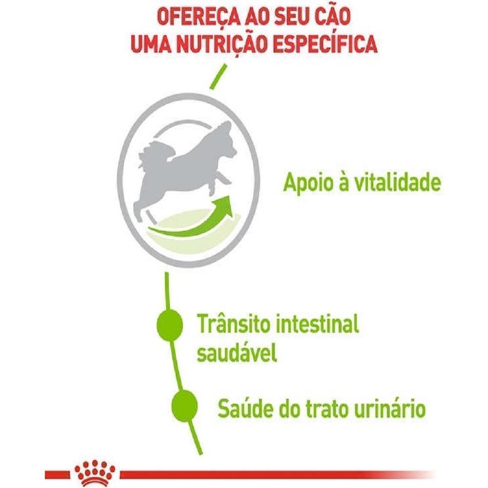 Ração Seca Royal Canin X-Small Adult 8+ para Cães Adultos e Idosos de Porte Miniatura com 8 Anos ou mais - 2,5 Kg