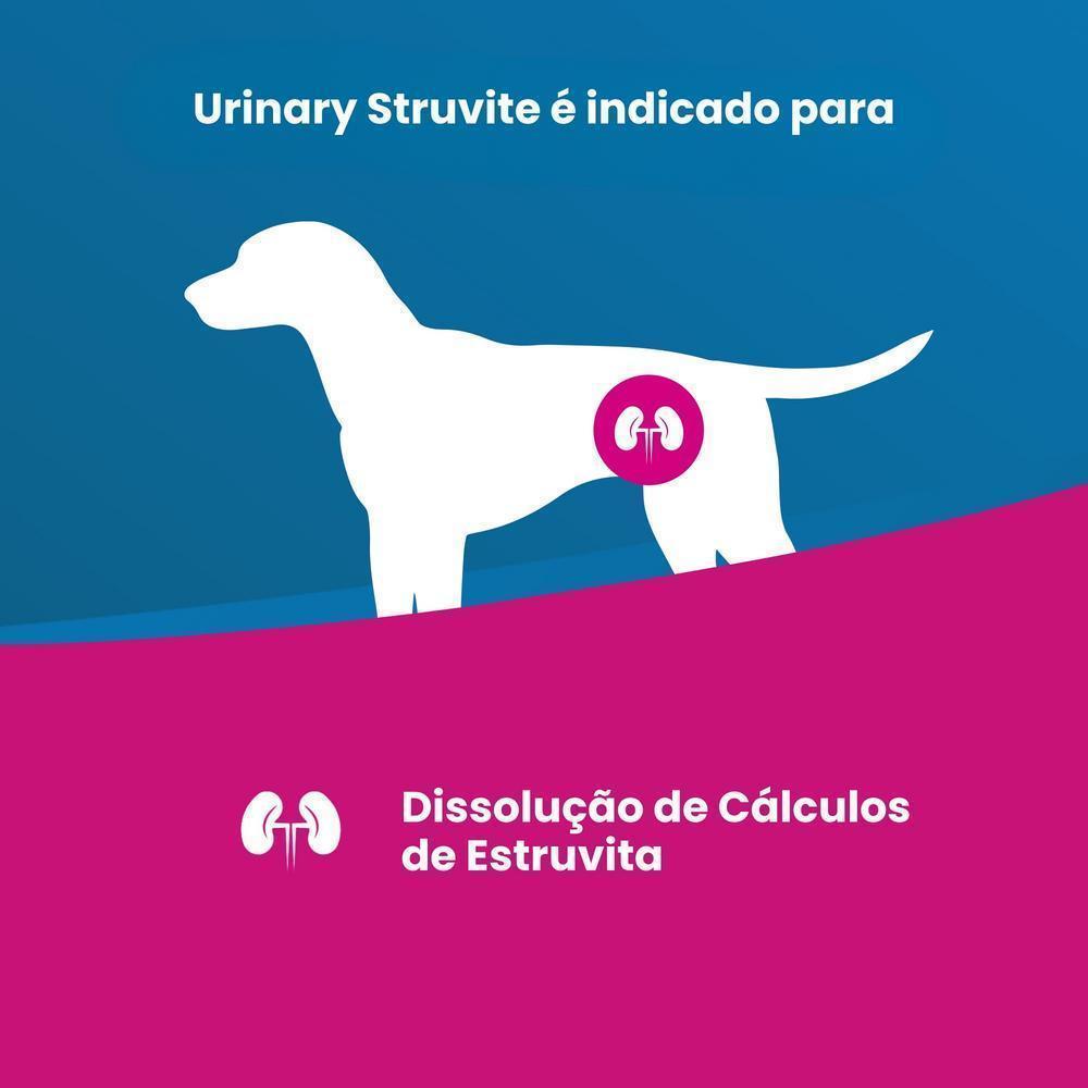 Vet Life Urinary Struvite para Cães Adultos de Todas as Raças 10,1Kg