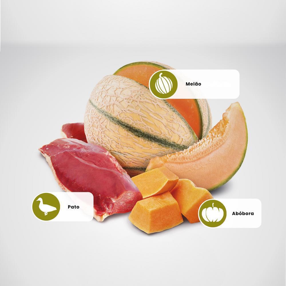 N&D Pumpkin para Gatos Adultos de Todas as Raças Sabor Pato, Abóbora e Melão 400g